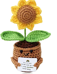 Crochet Flower Pot
